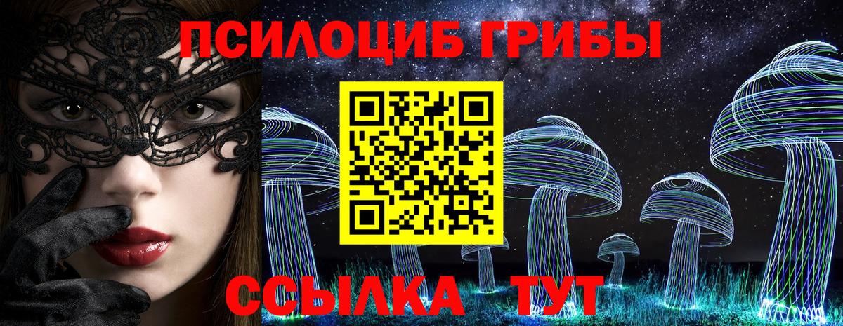 Псилоцибиновые грибы GOLDEN TEACHER Ессентуки