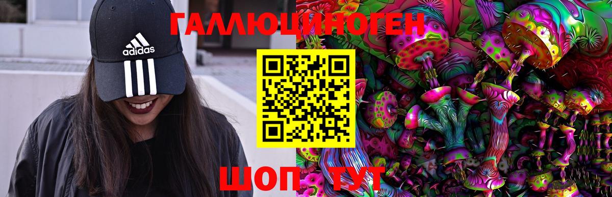 Псилоцибиновые грибы Psilocybine cubensis  Вход с VPN  Ессентуки 